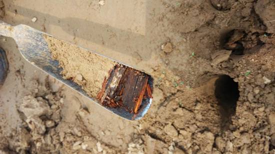 出土棺木標(biāo)本